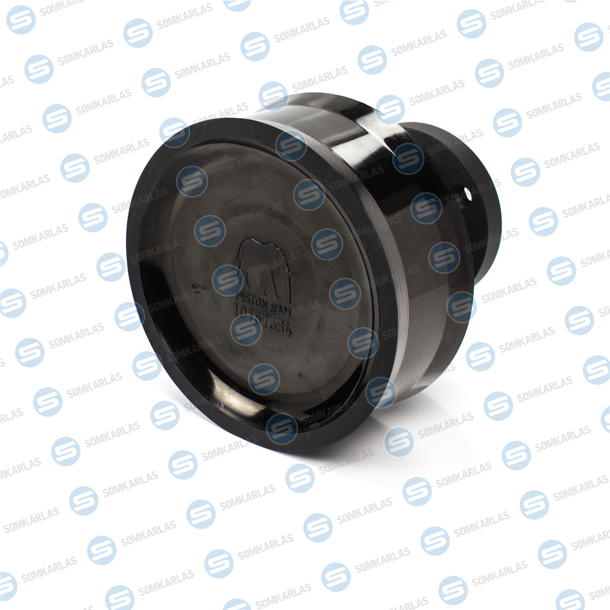 SOM30109 - PISTON RAM DN 250 - 