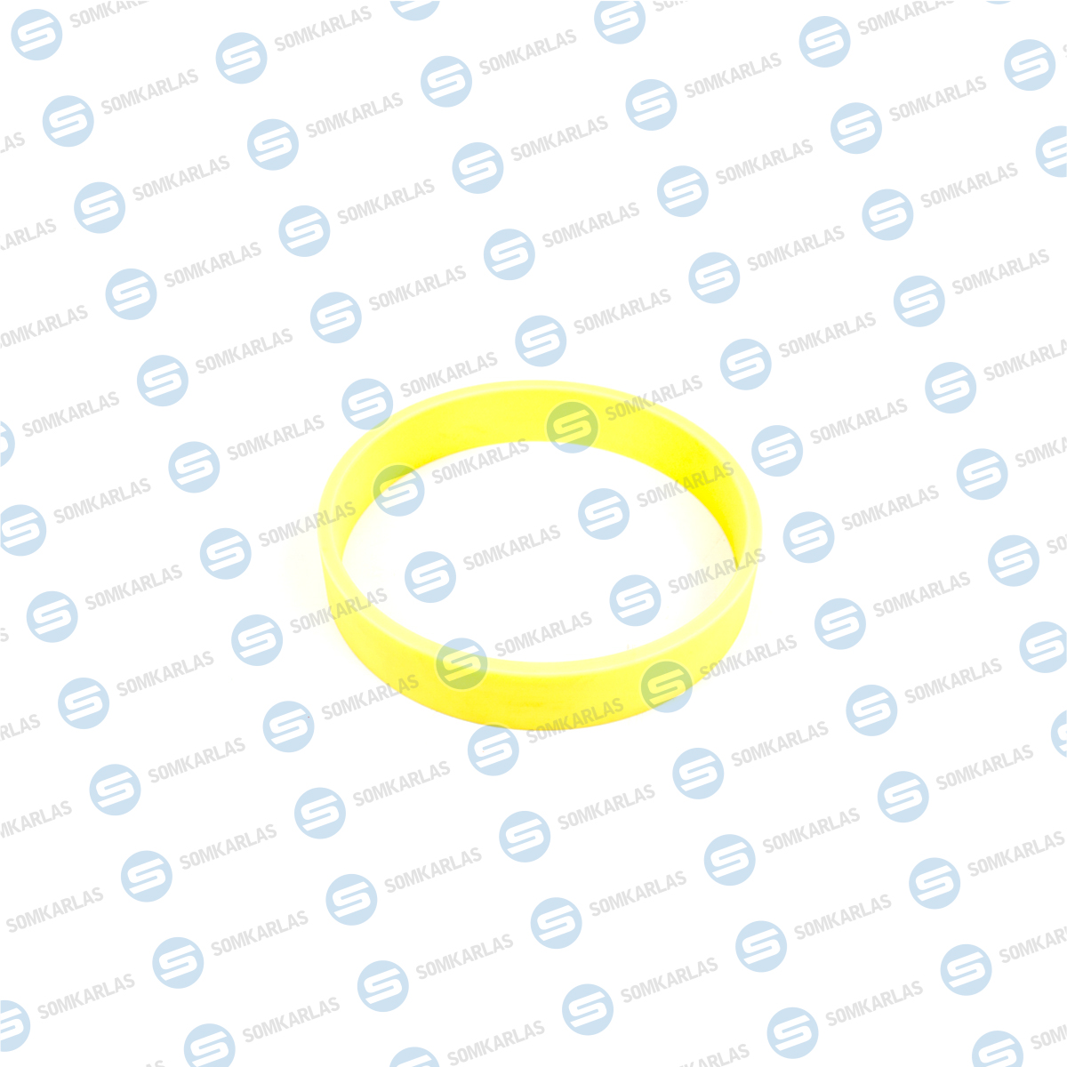 SOM20118 - GUIDE RING DN 230 - 